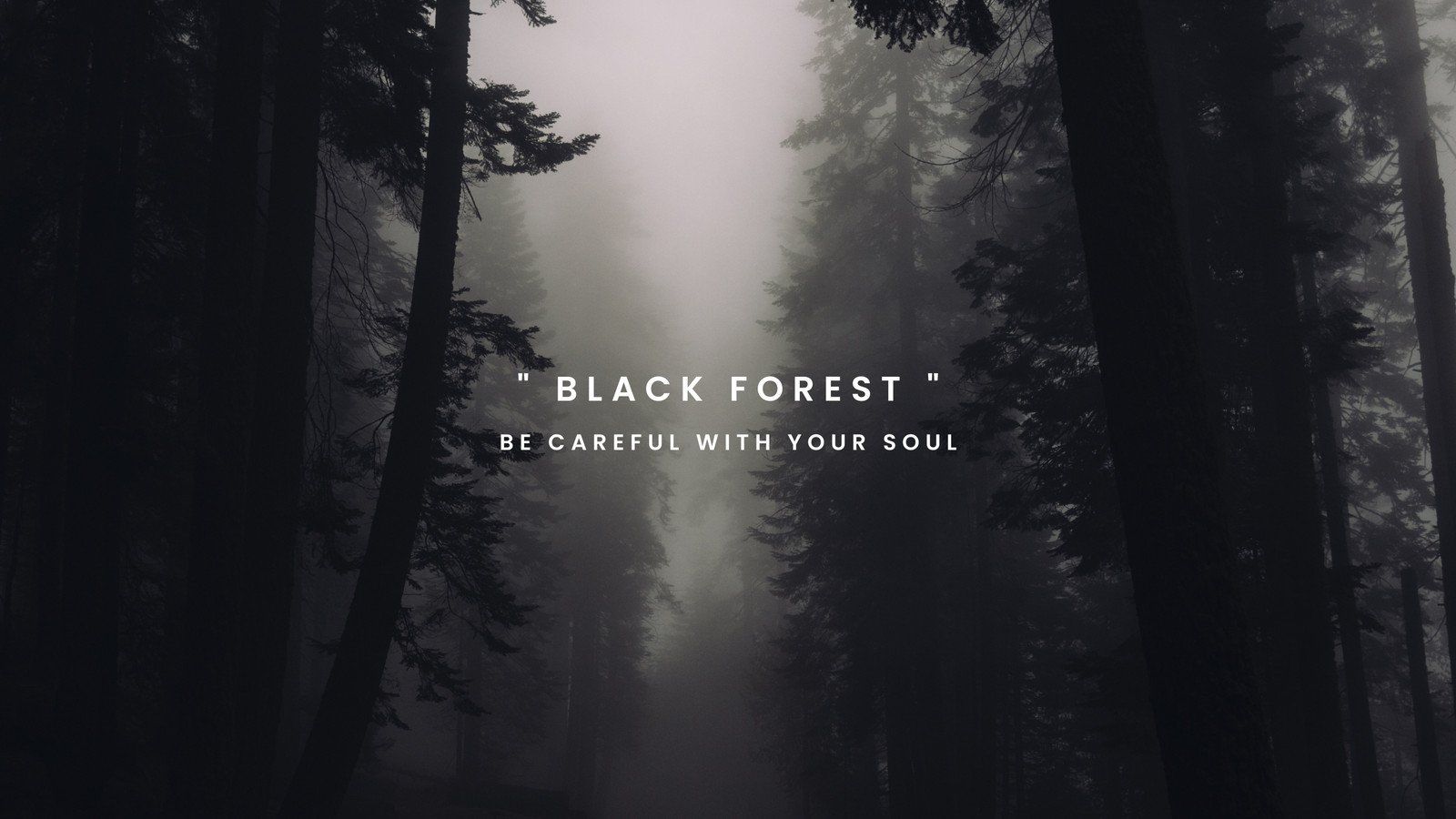 A dark forest with the words black forrest - Dark, black and white, gray, forest, gym