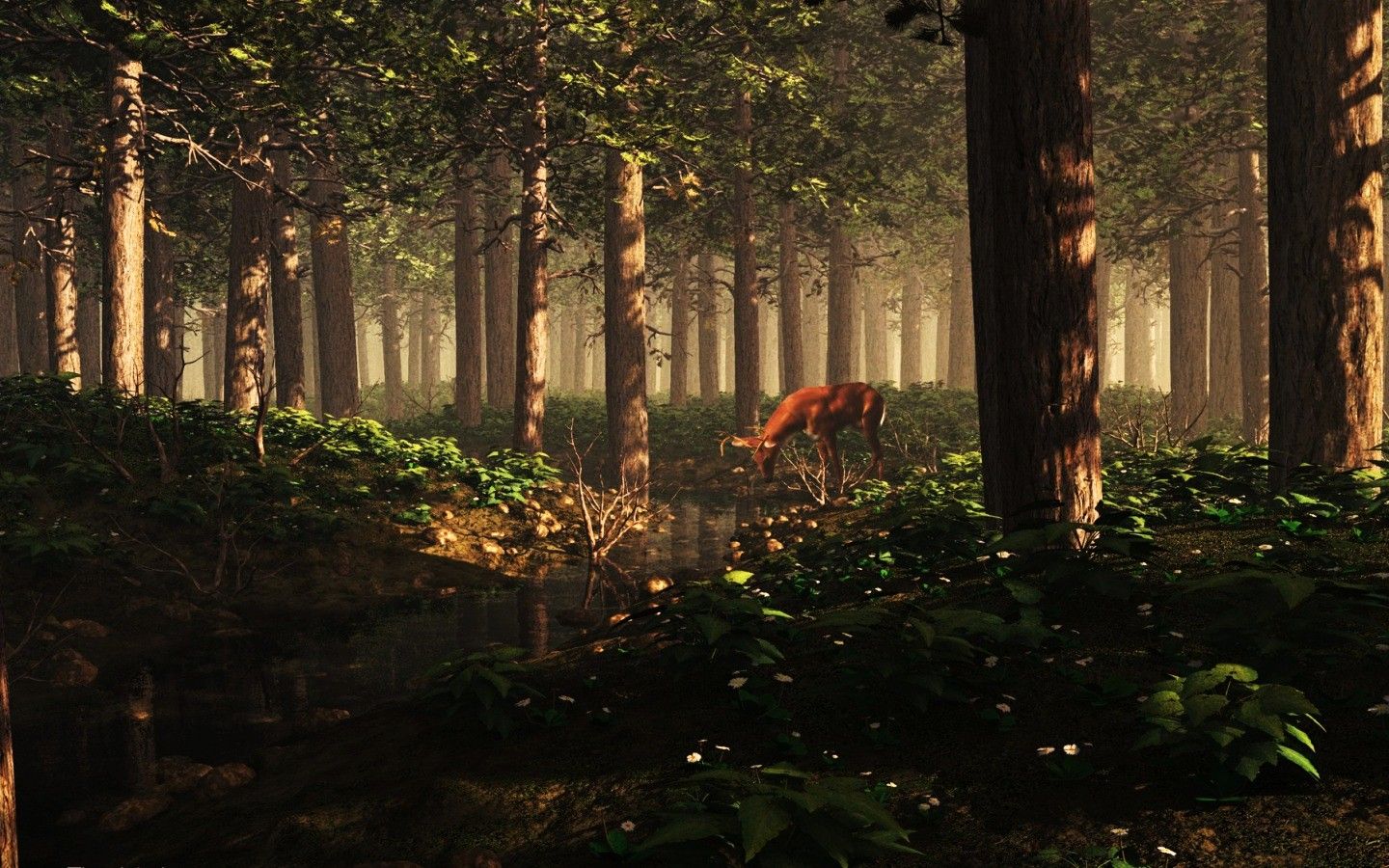 A deer in the forest drinking water from a stream - Forest