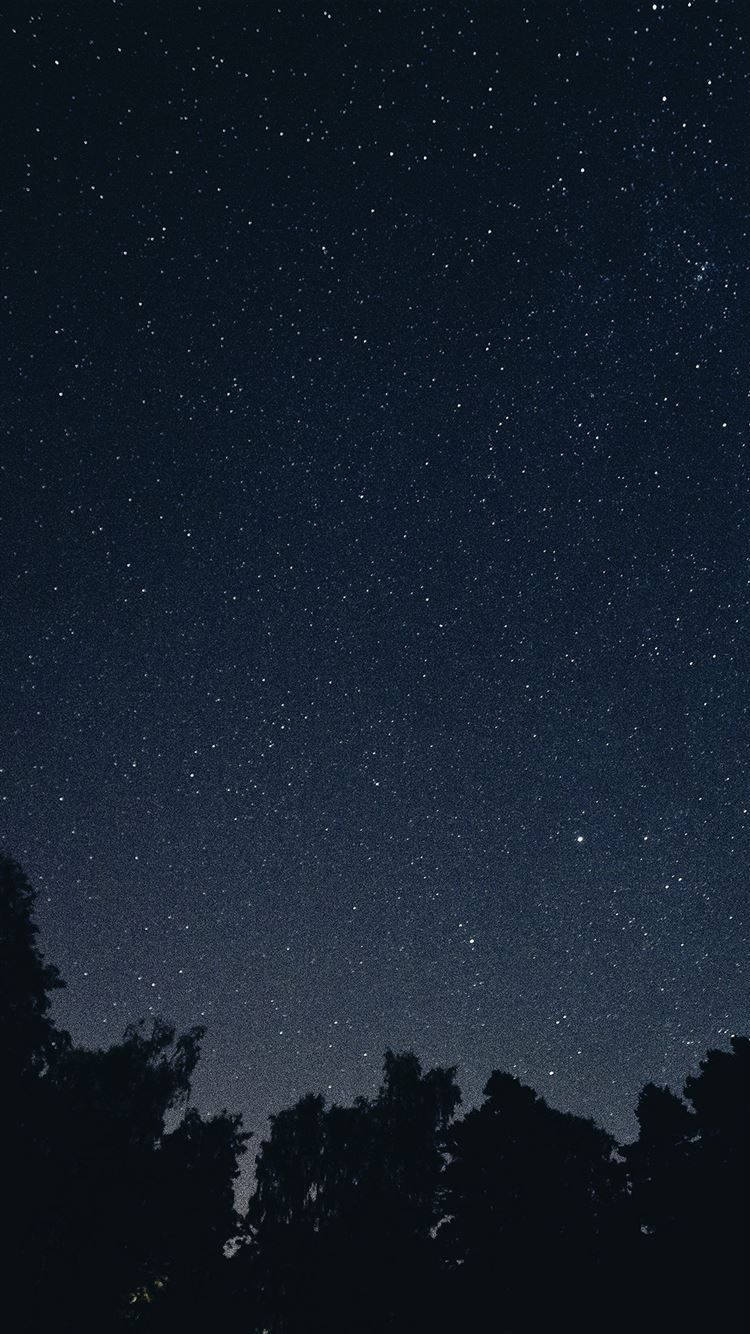 Starry Night Sky Star Galaxy Space Dark iPhone 8 Wallpaper Free Download