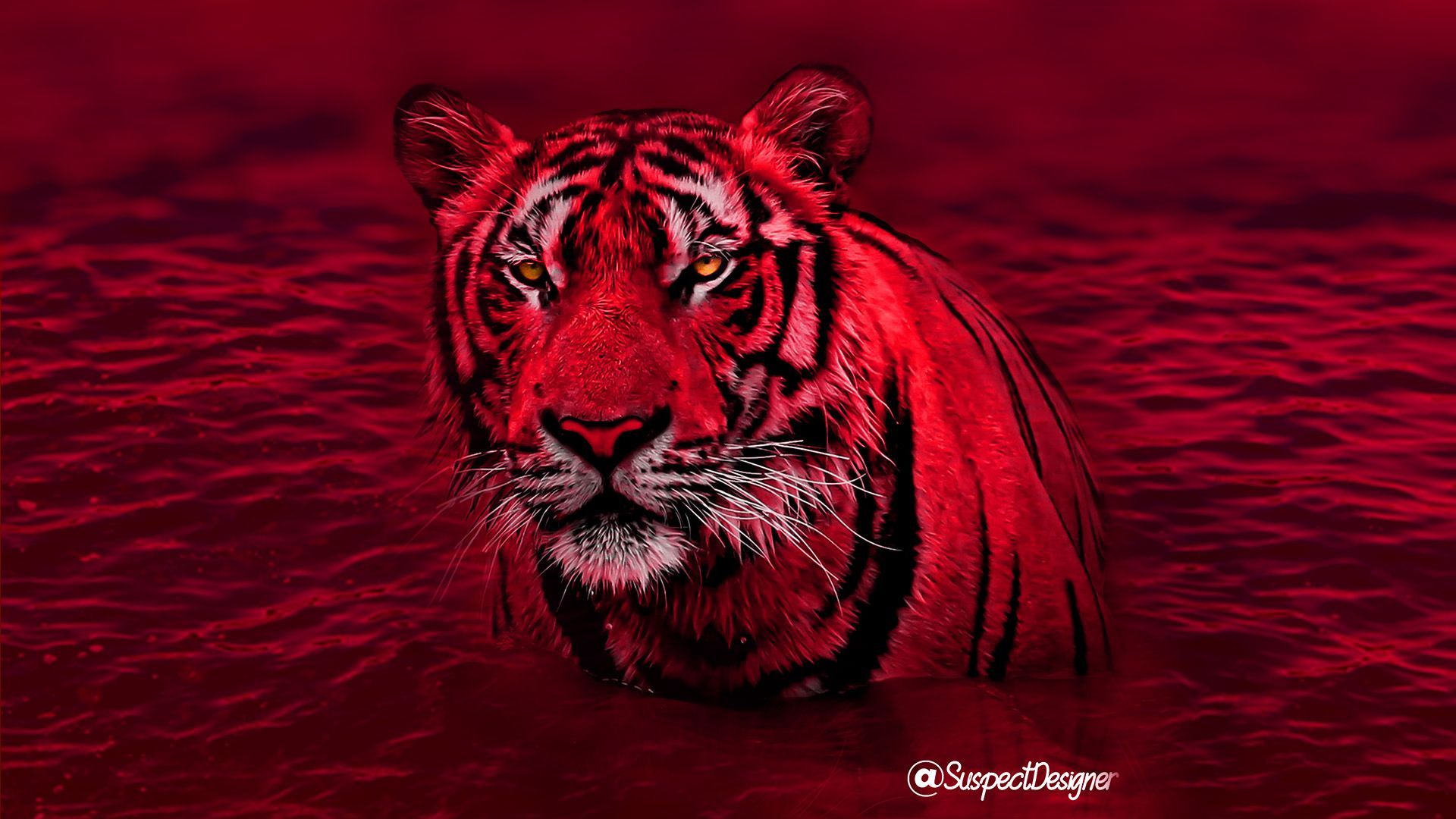 Red Tiger wallpaper - Tiger