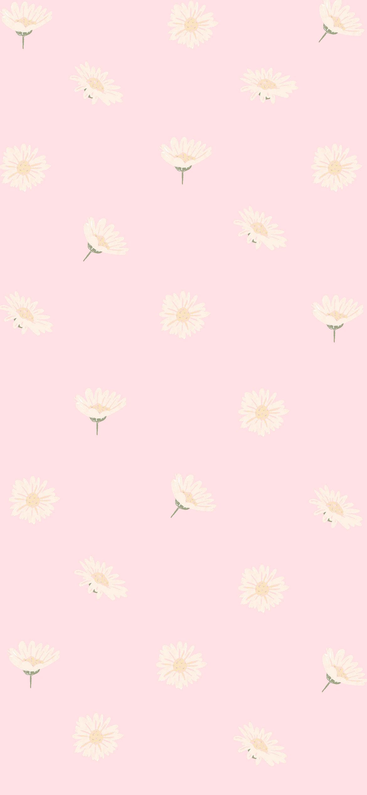 A pattern of white flowers on pink background - Pink, pink phone, pastel pink, cute pink, daisy, pastel rainbow