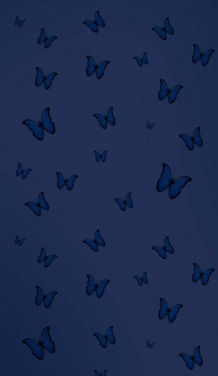 Aesthetic wallpaper blue butterfly background for phone or desktop. - Navy blue, indigo, butterfly