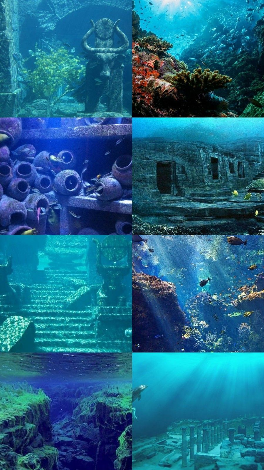 A collage of pictures showing different underwater scenes - Underwater