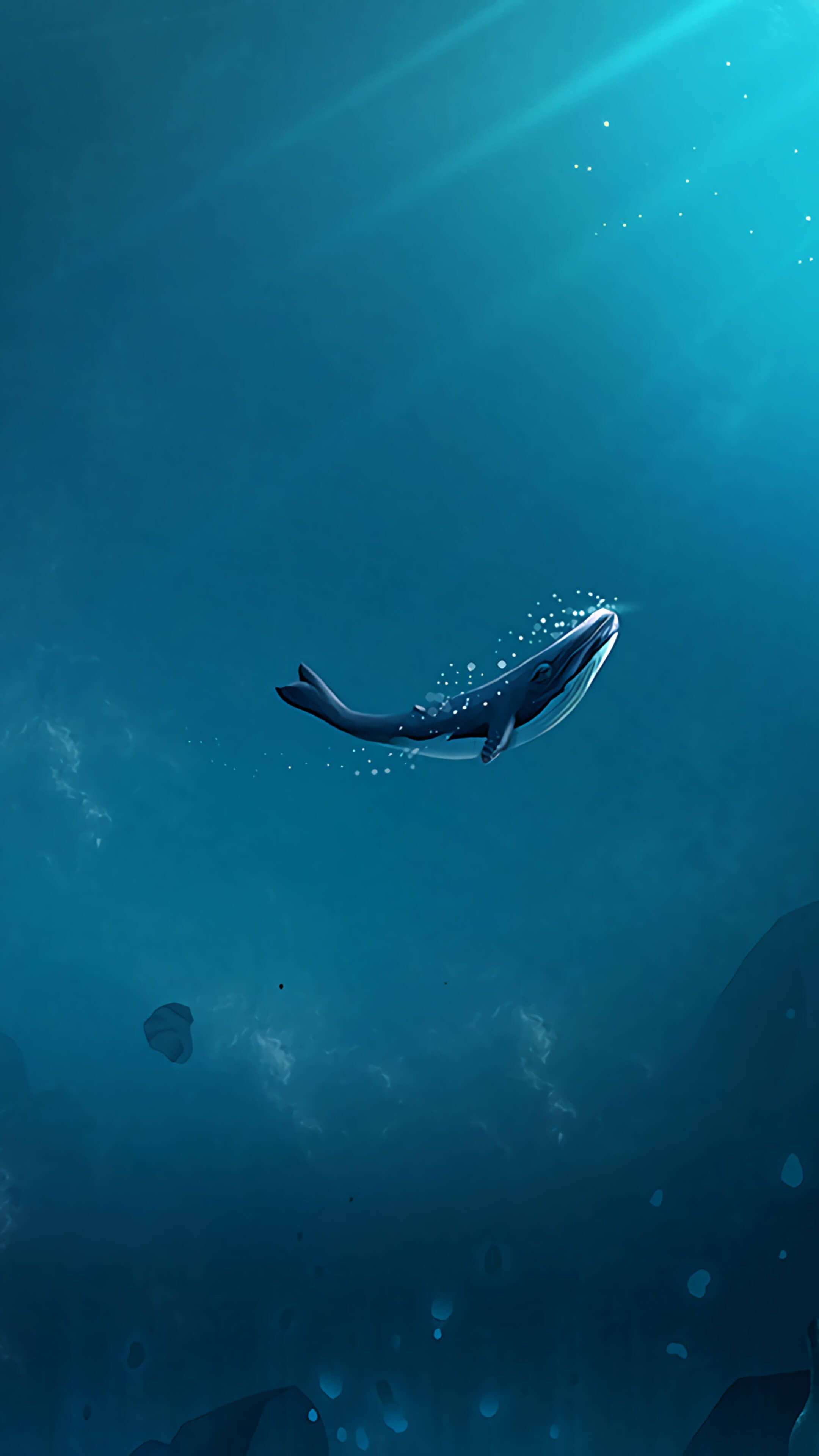A whale swimming in the ocean - Underwater