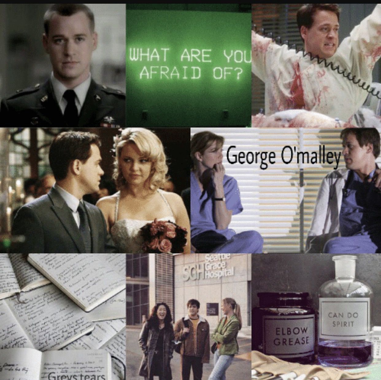 A collage of images from the show Greys Anatomy including George O'malley, Izzie, and a book. - Grey's Anatomy