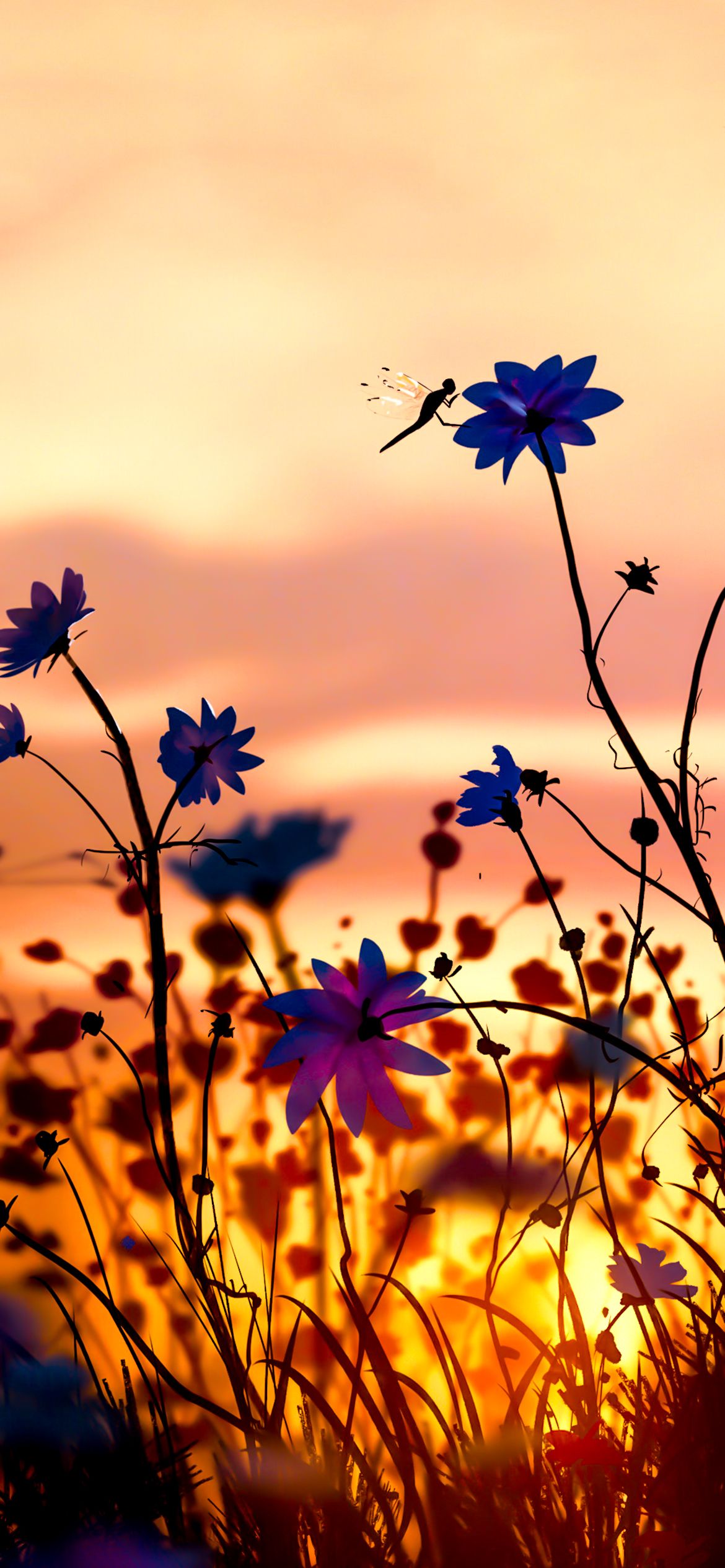 PHONE WALLPAPER SUNSET AND FLOWERS
