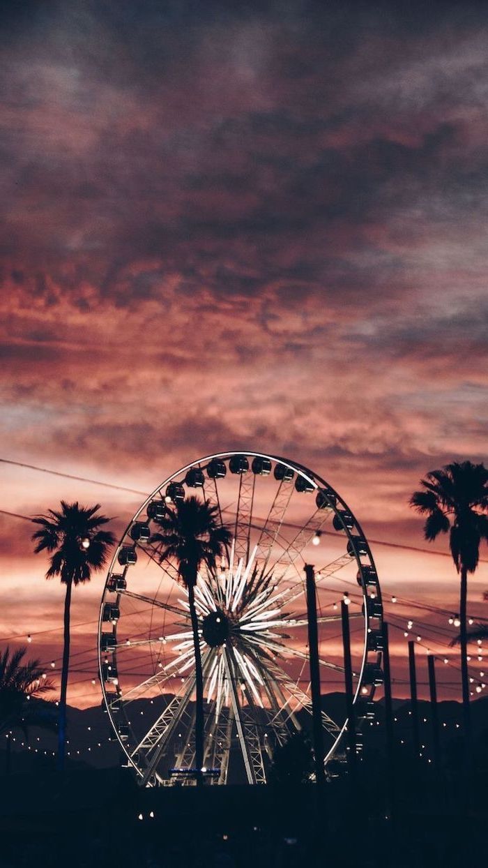 Ferris wheel and palm trees, under a pink and orange sky, sunset aesthetic, phone background - Light red, sunset, beautiful, clean, pretty, palm tree