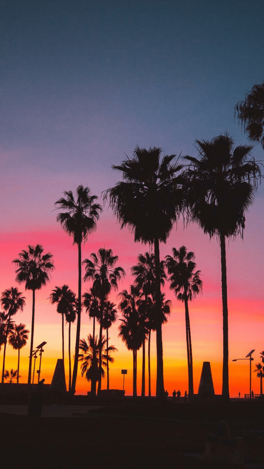 Sunset Palm Aesthetic Wallpaper Free Sunset Palm Aesthetic Background