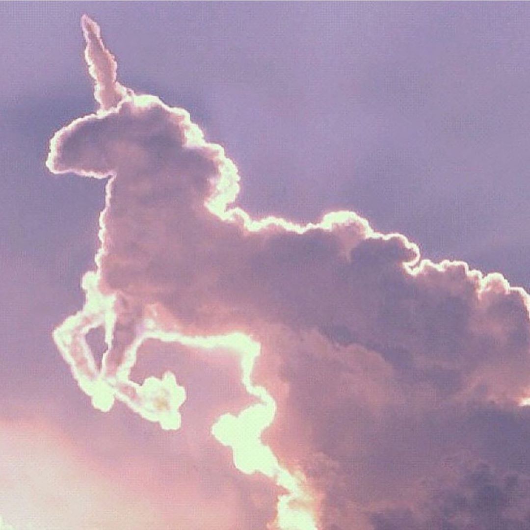 Clouds in the sky shaped like a unicorn - Unicorn