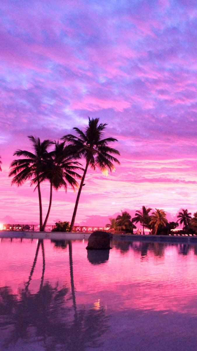 A beautiful sunset with palm trees and a pool. - Sunset