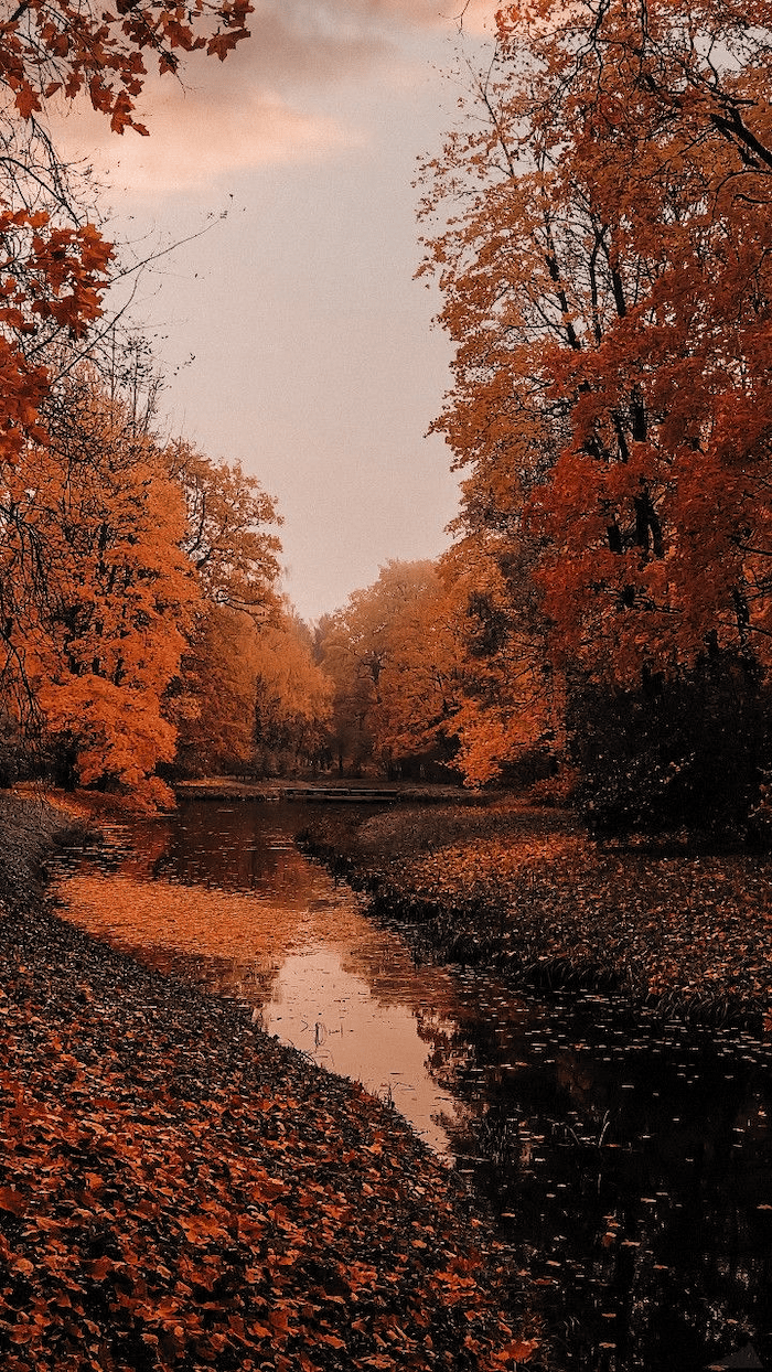 A pond surrounded by trees with orange leaves. - Fall iPhone