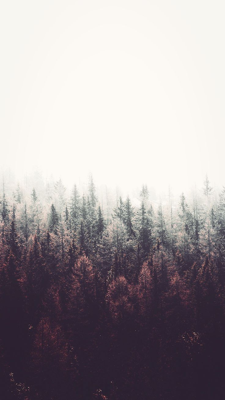 A foggy forest with trees and mountains - Fall iPhone