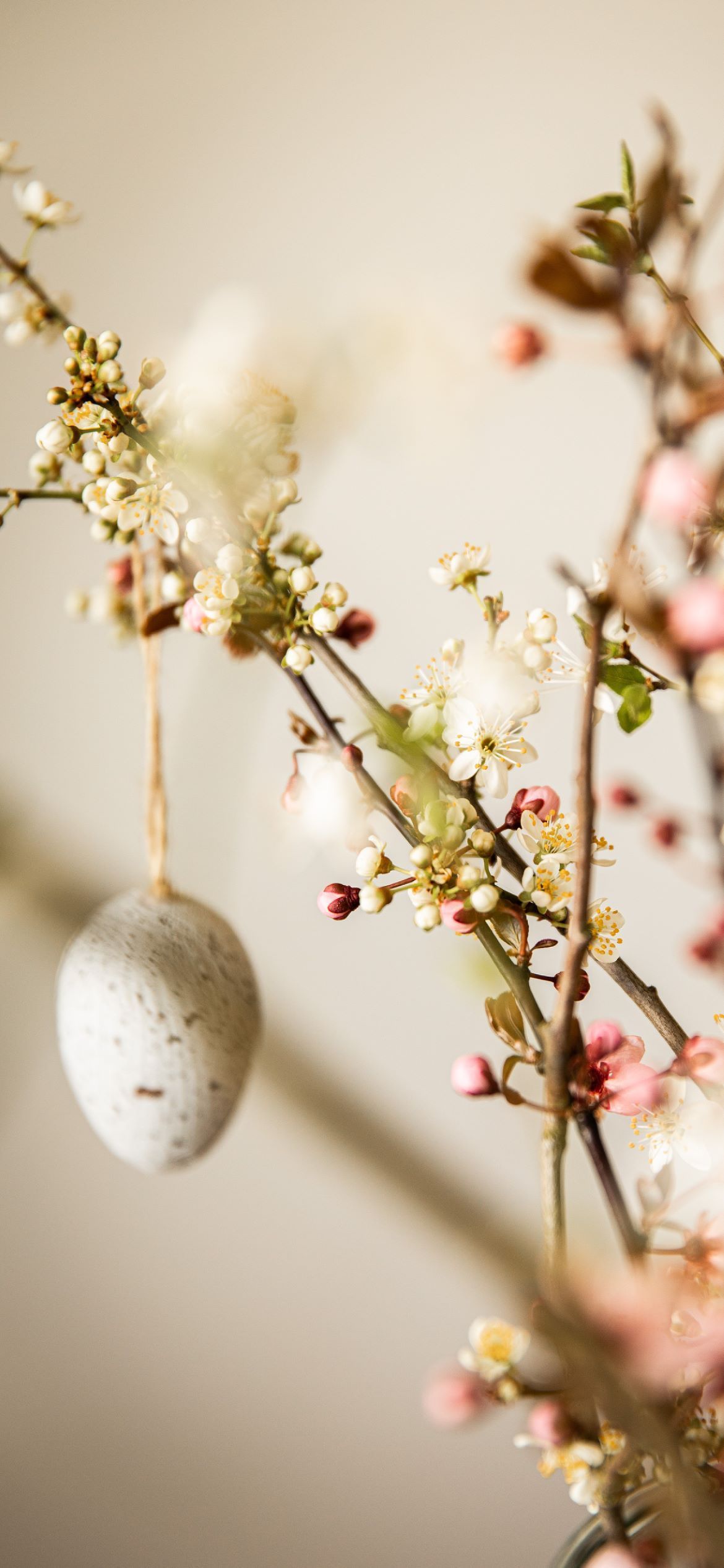 A white Easter egg hanging from a branch with pink flowers. - Easter