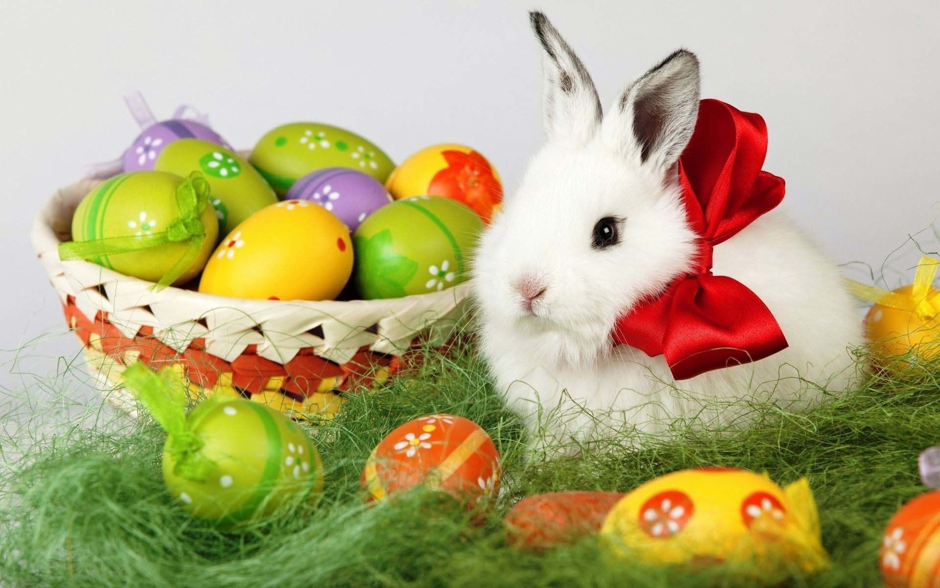 Easter bunny with a red bow sitting next to a basket of Easter eggs. - Easter, egg