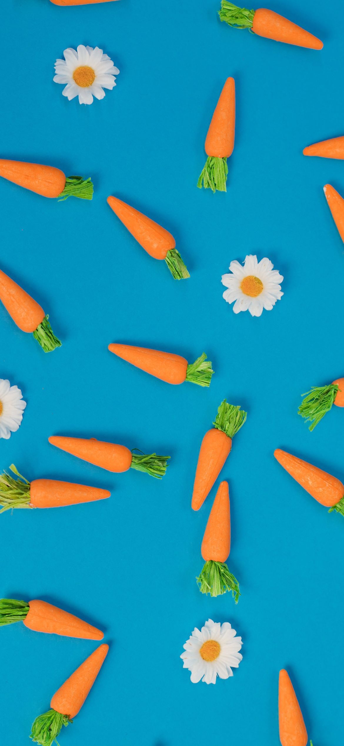 A bunch of carrots and daisies on the ground - Easter