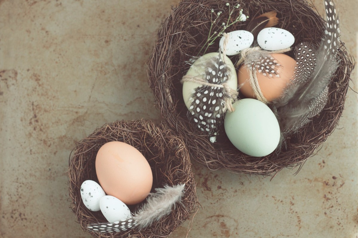 Easter eggs in a nest with feathers - Easter