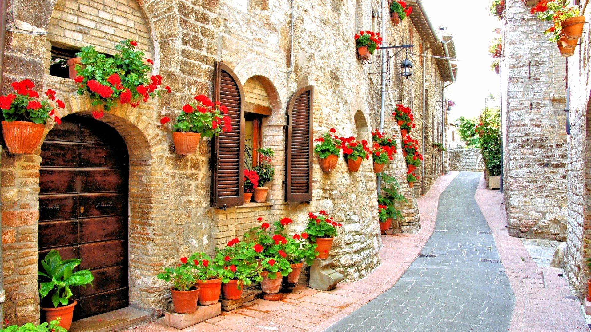 Flowers on the street - Italy