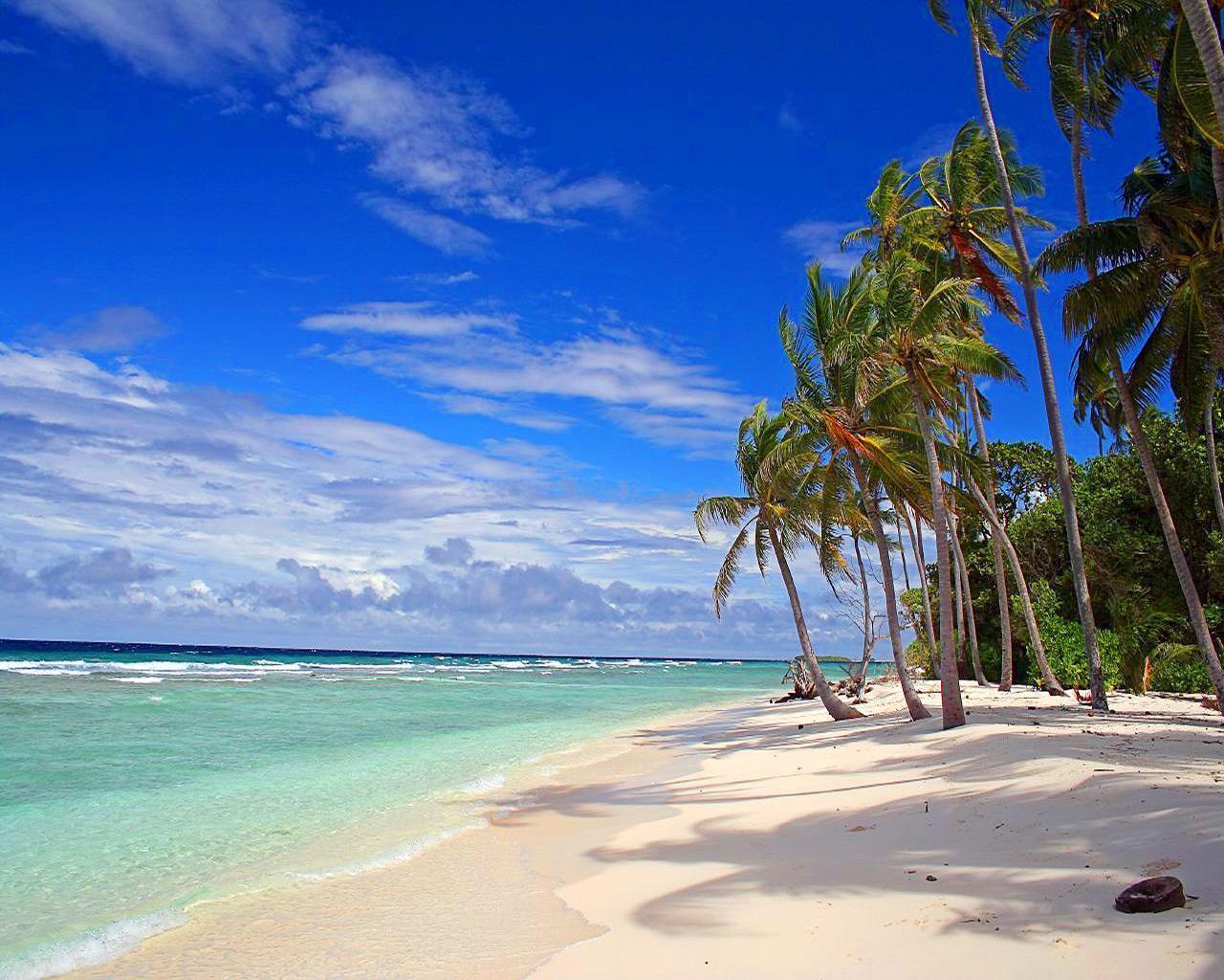 A beach with palm trees and blue water - Hawaii