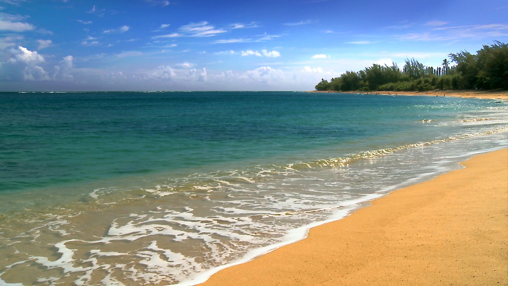 A beach with a blue sky and a blue ocean - Hawaii