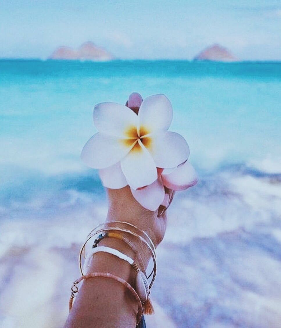 A woman's hand holding a white flower with the ocean in the background. - Hawaii