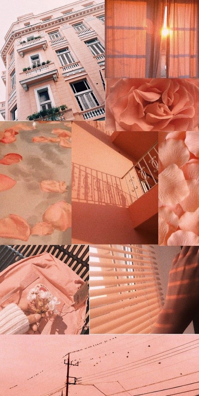 A collage of pictures with pink and orange colors - Coral