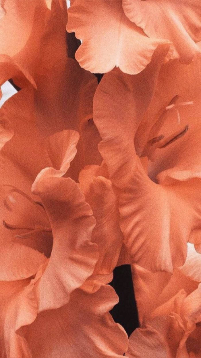 A detail of a painting of a bunch of orange flowers. - Coral