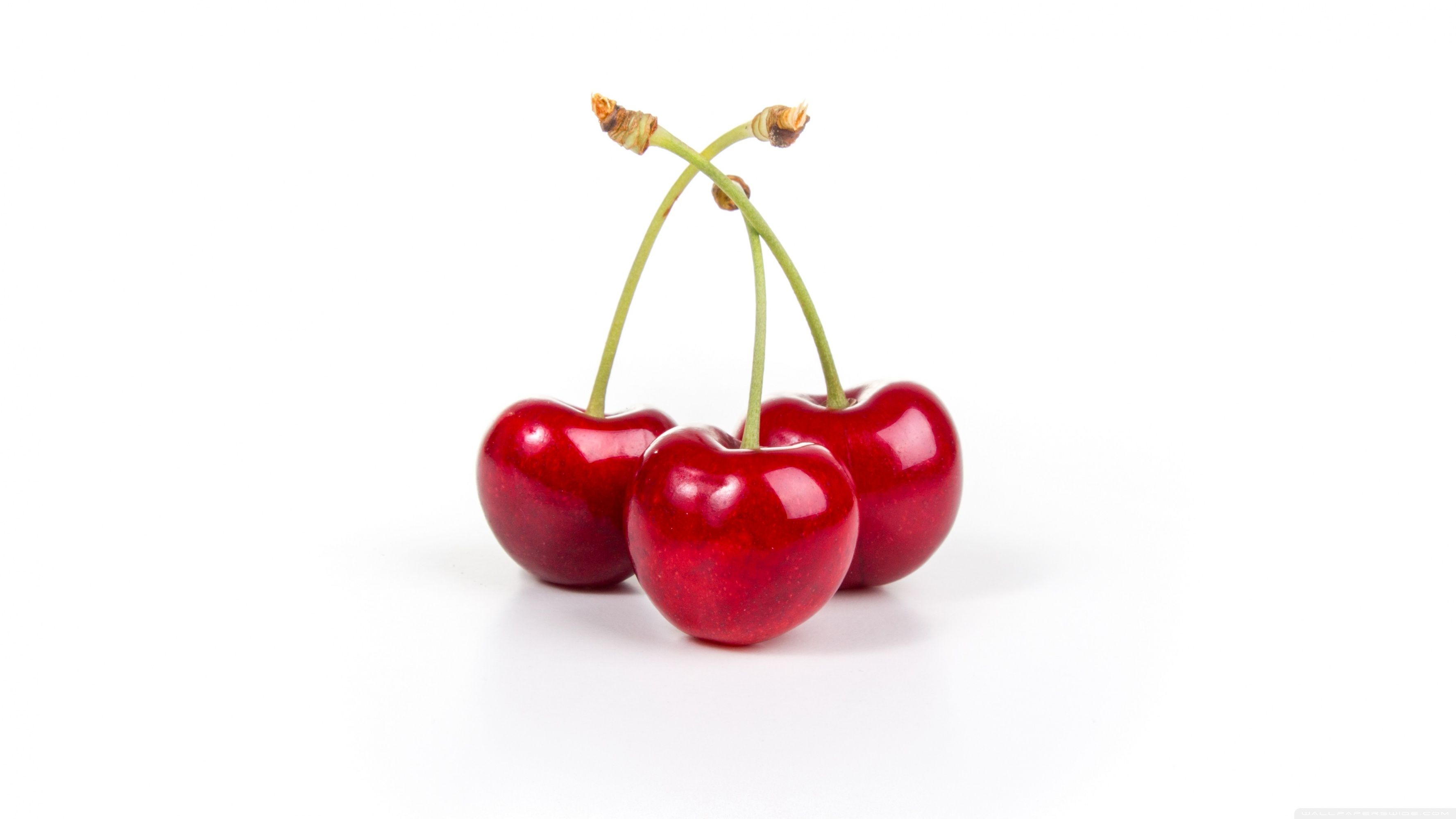 Three cherries with stems on a white background - Fruit