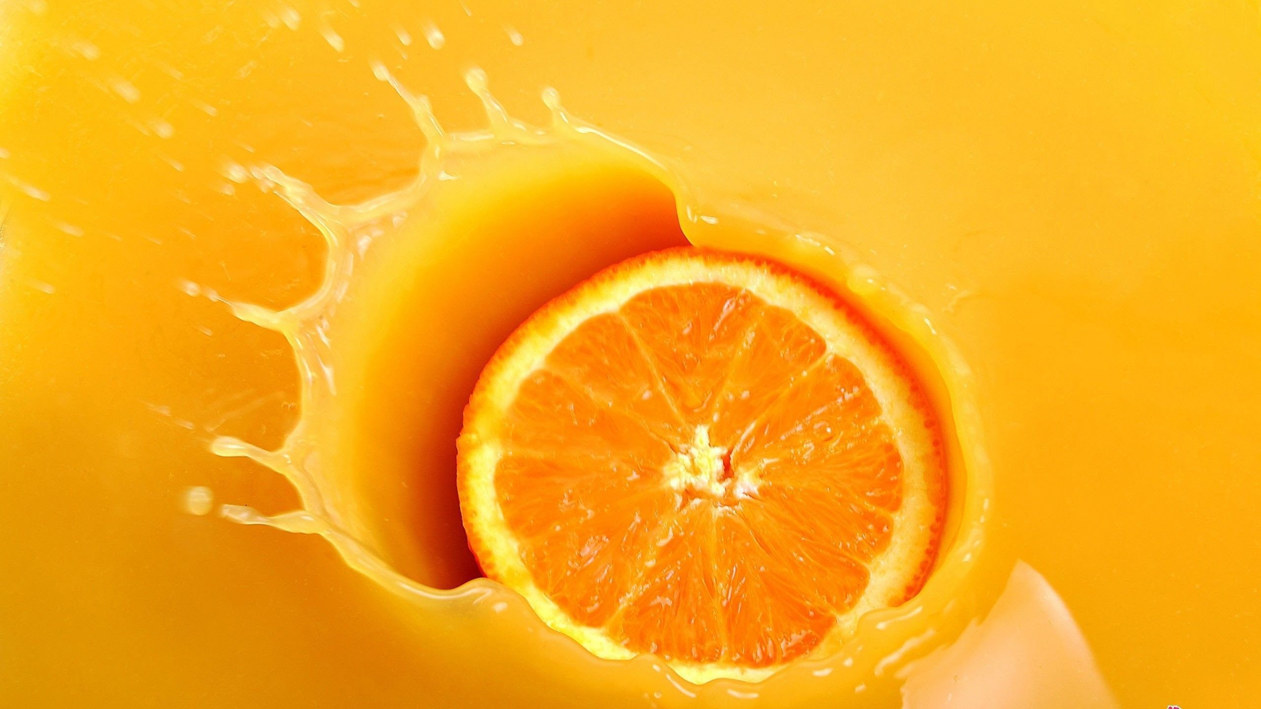 A slice of orange in a glass of orange juice - Fruit