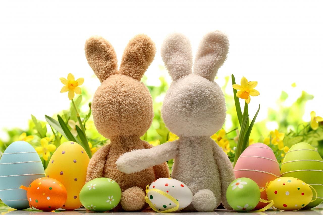 Two stuffed bunnies sitting next to easter eggs - Easter