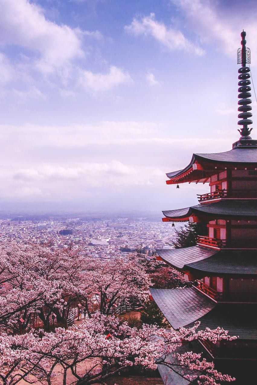 The best time to visit japan - Japan