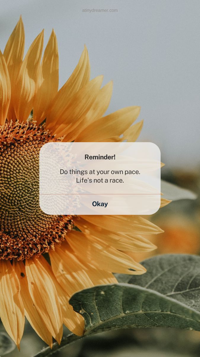 A yellow sunflower with a reminder to do things at your own pace. - IPhone