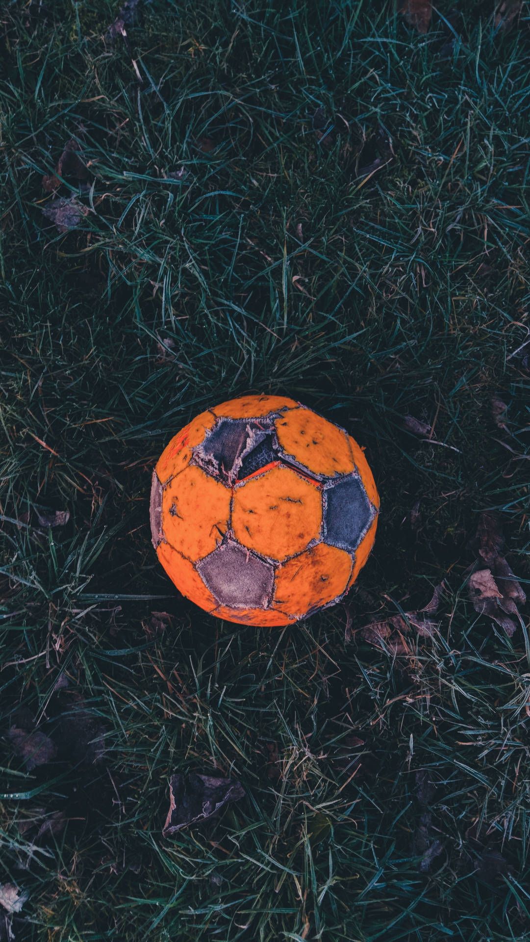 A soccer ball sitting in the grass - Soccer