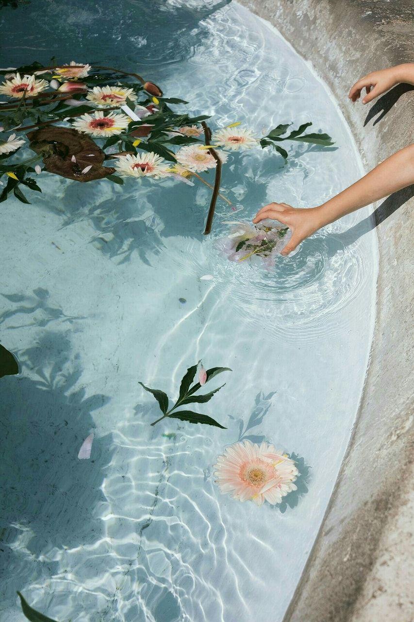 A woman is reaching into the water to pick up flowers - Water, clean