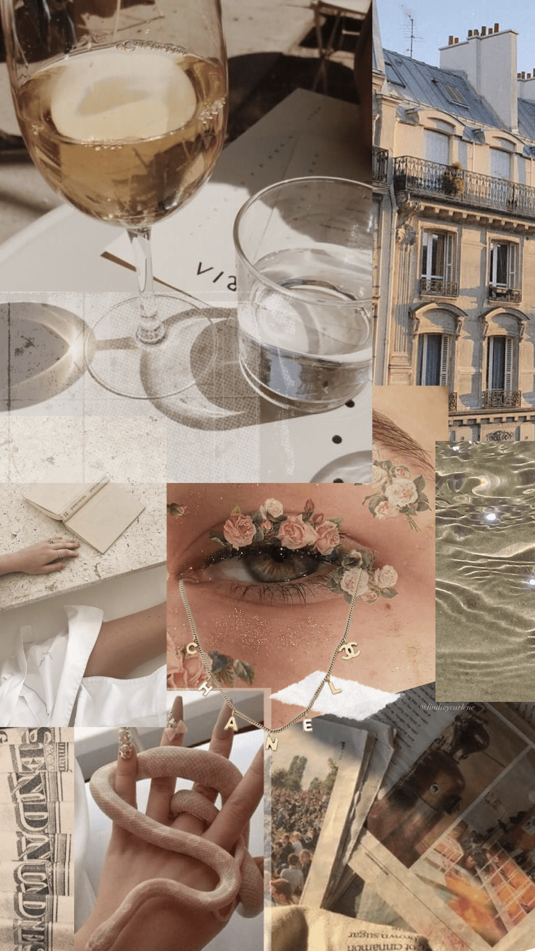A collage of images including a wine glass, a book, a snake, and a building. - Champagne