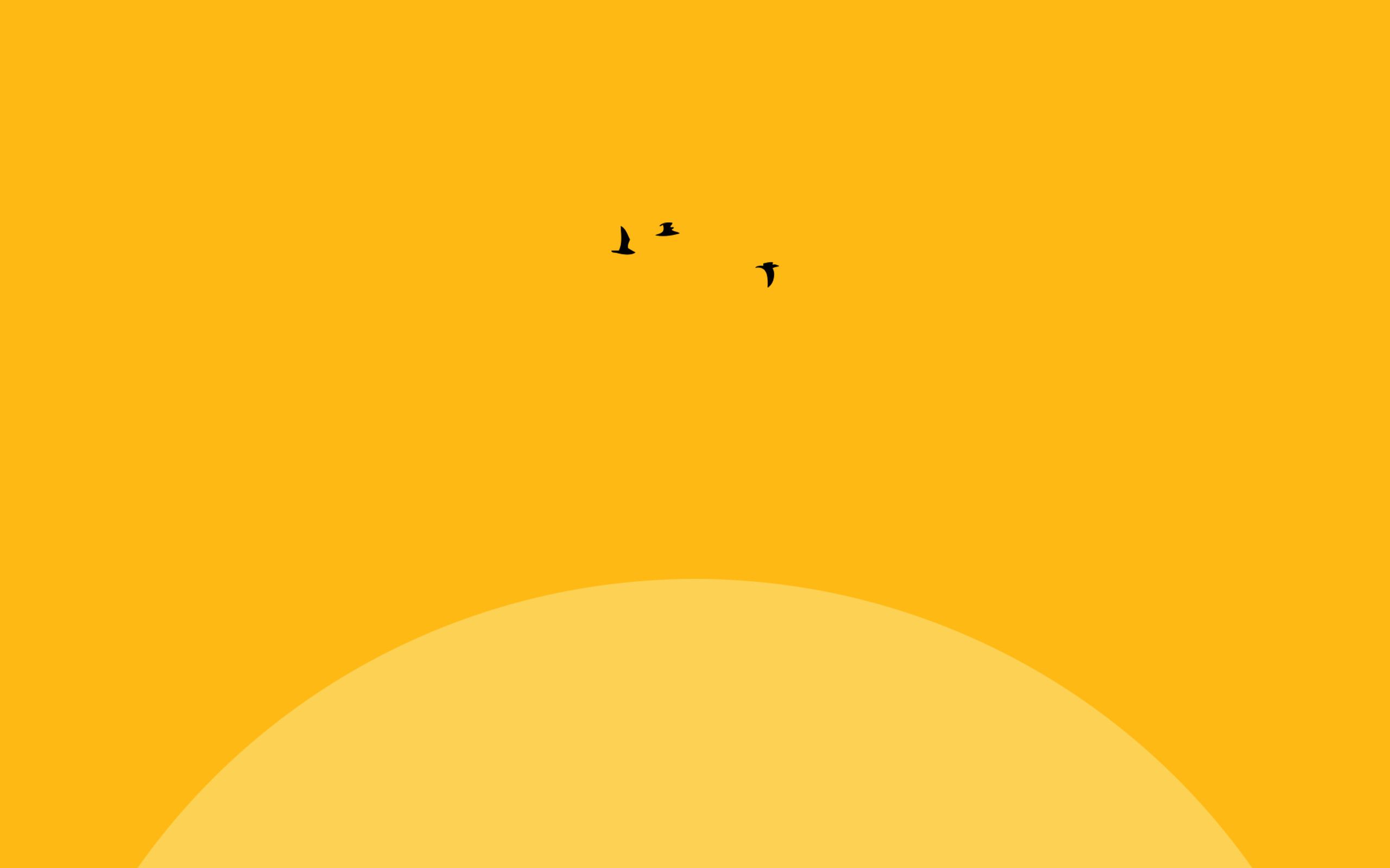 A yellow background with two birds flying - Pastel orange, yellow, 2560x1600, pastel yellow, orange