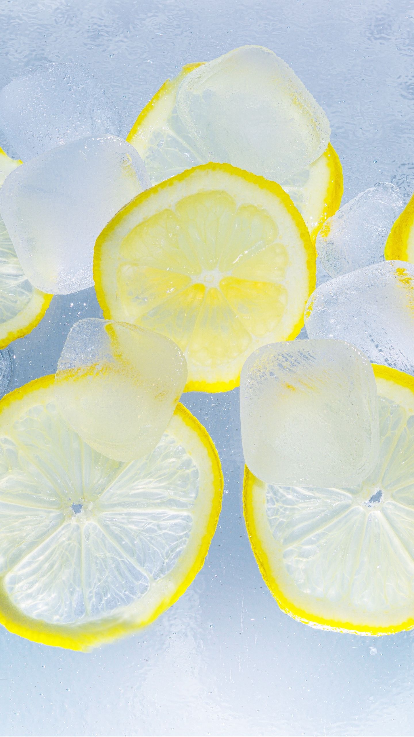 Lemon pickle Wallpaper Download