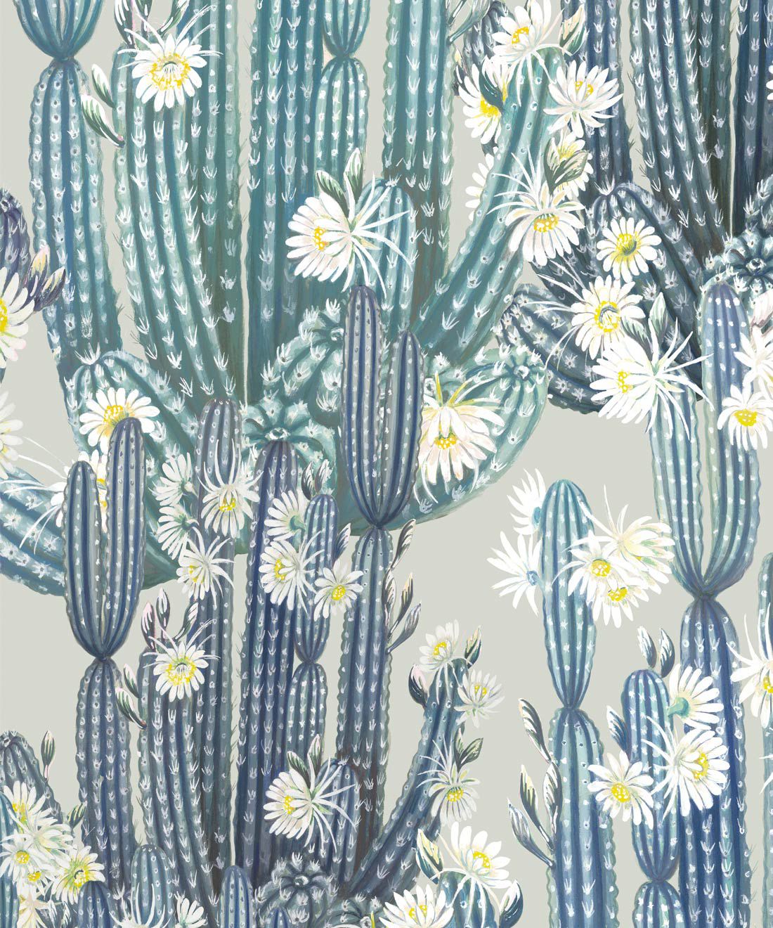San Pedro Wallpaper • Cactus Wallpaper Europe