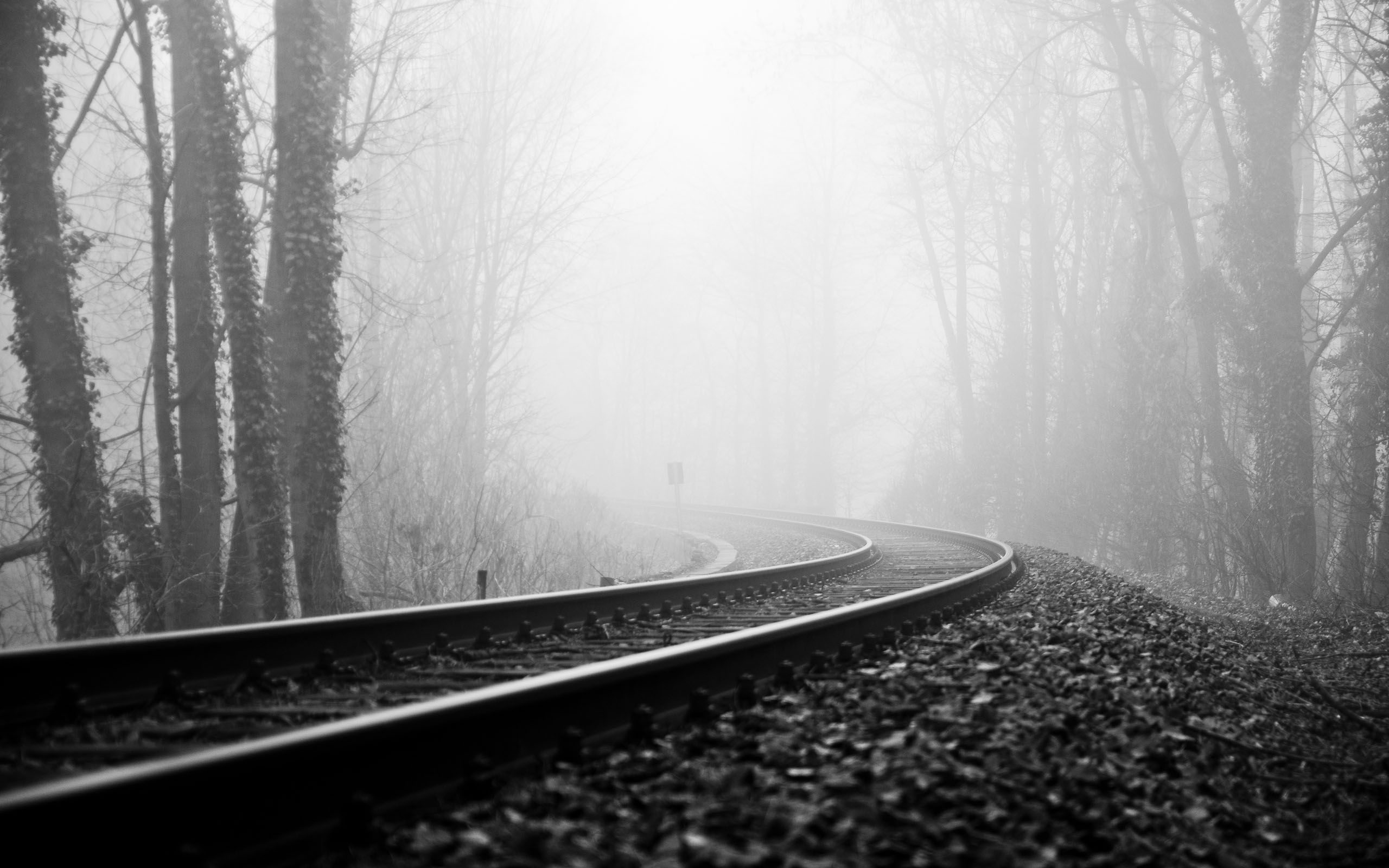 A foggy train track surrounded by trees. - 2560x1600