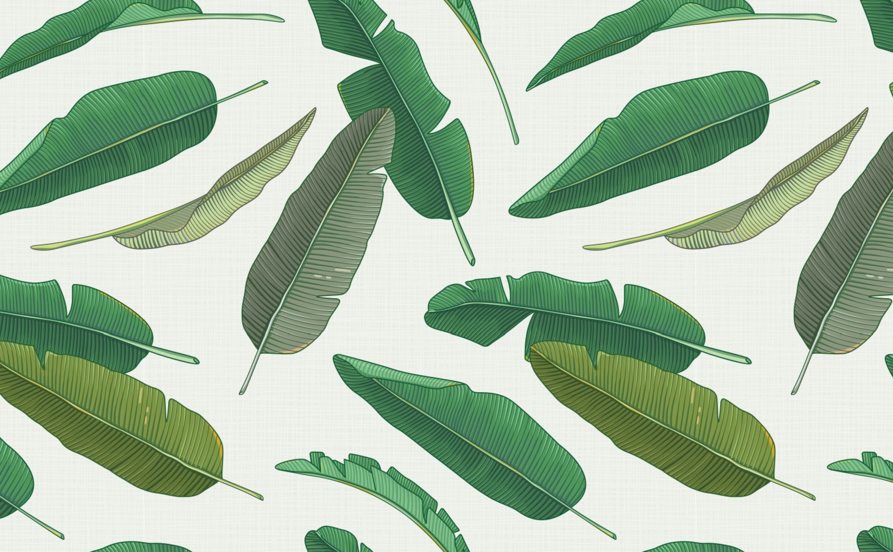 A seamless pattern of green banana leaves on a white background - Boho