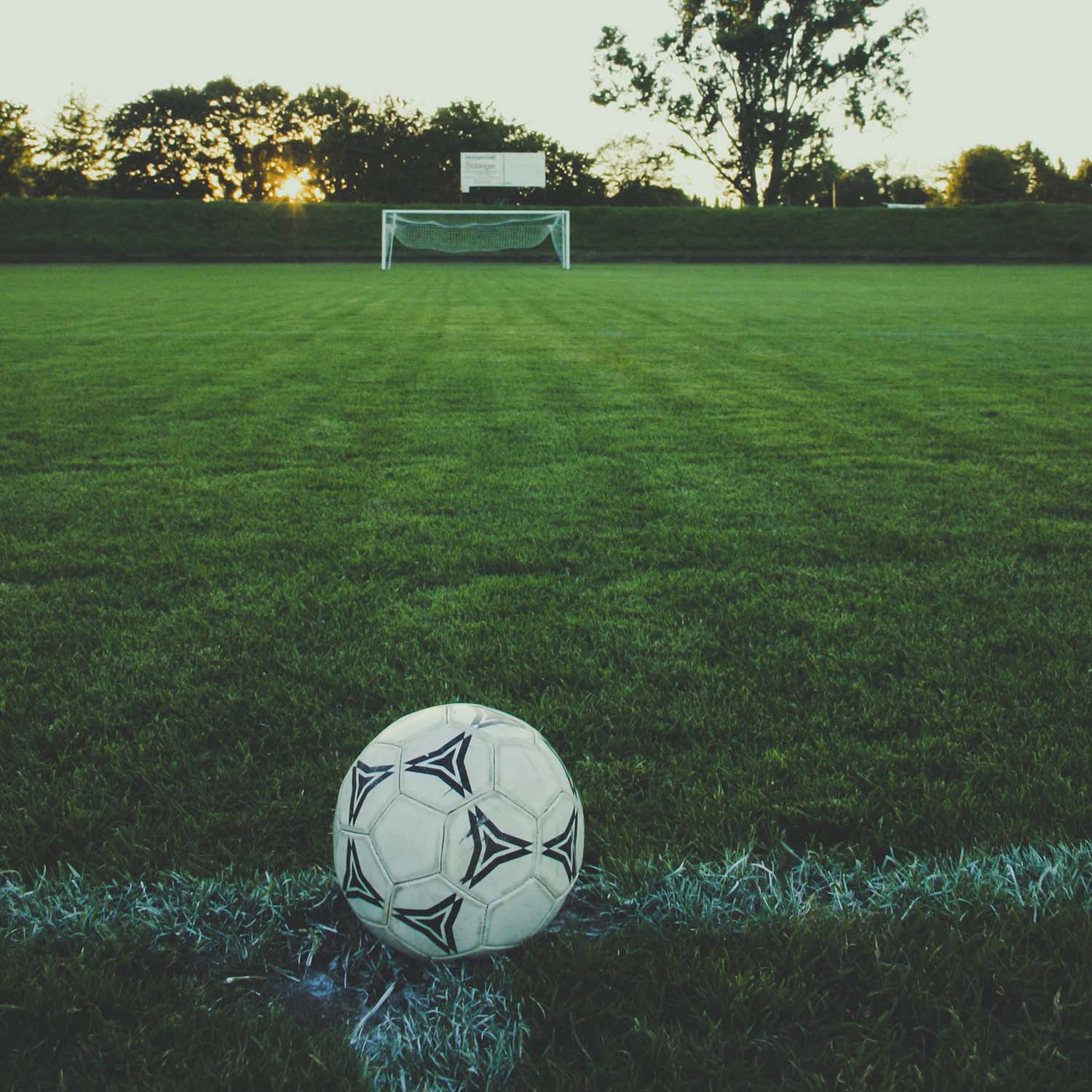 A soccer ball sits on the line of a soccer field. - Soccer