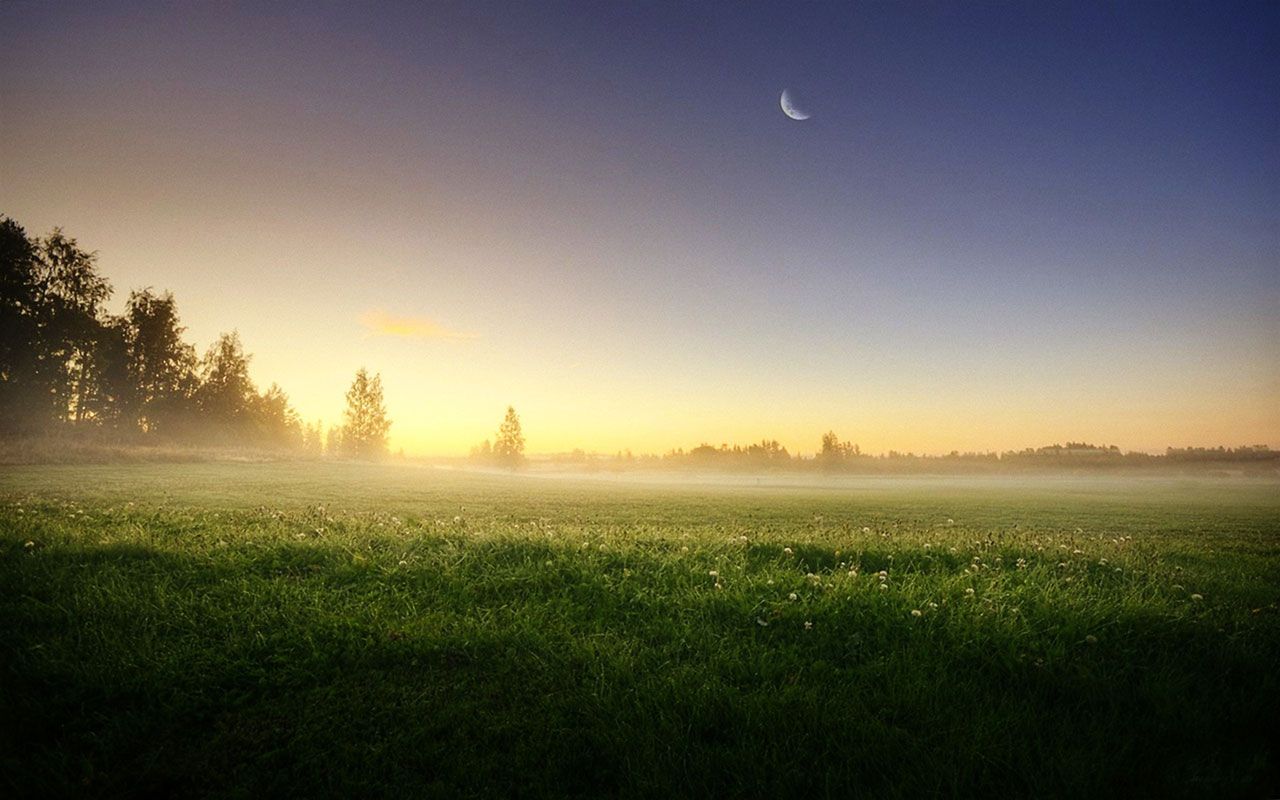A beautiful image of a field with a half moon in the sky. - Landscape, Windows 10, fog