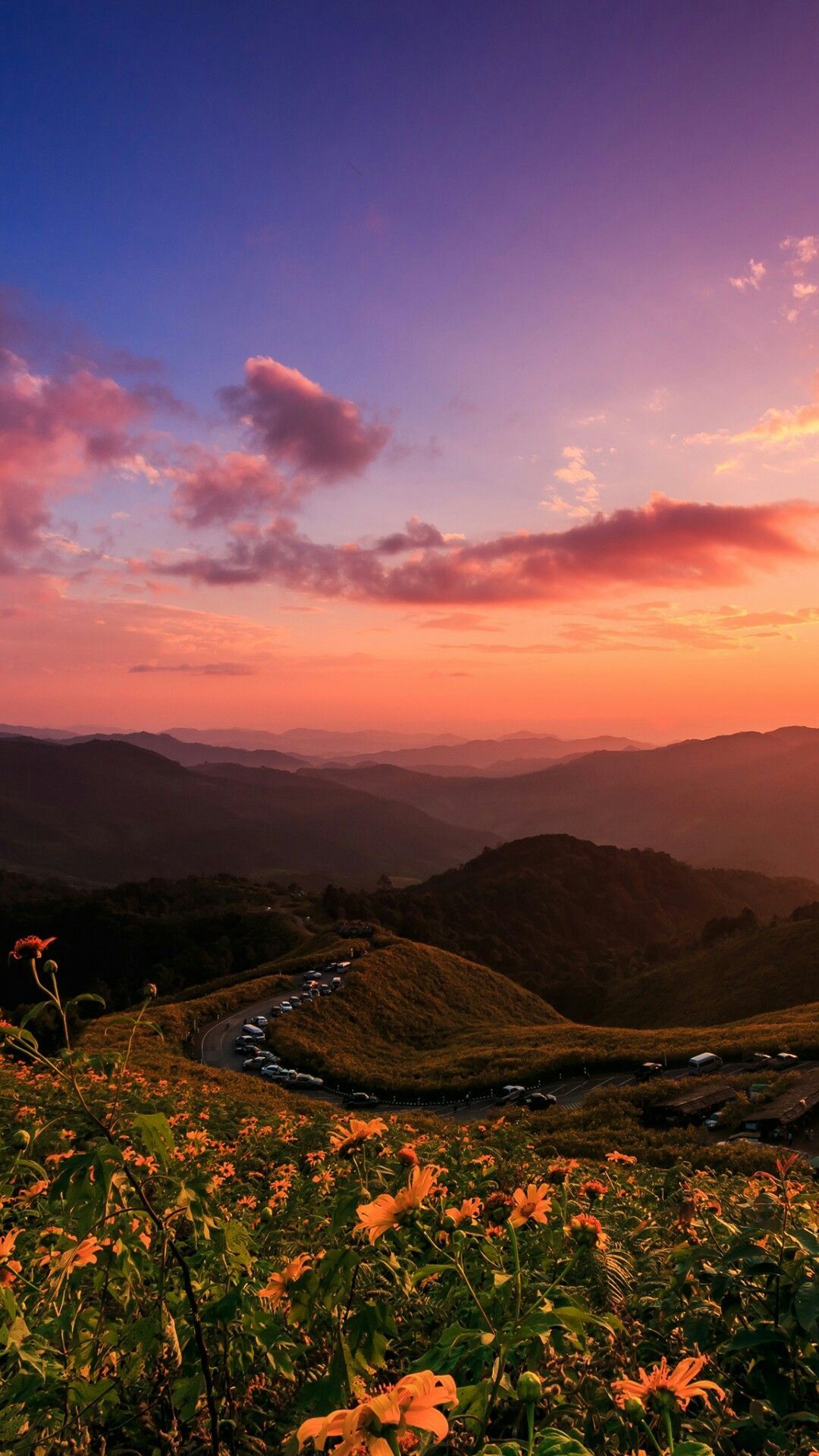 A sunset over the mountains with flowers - Landscape