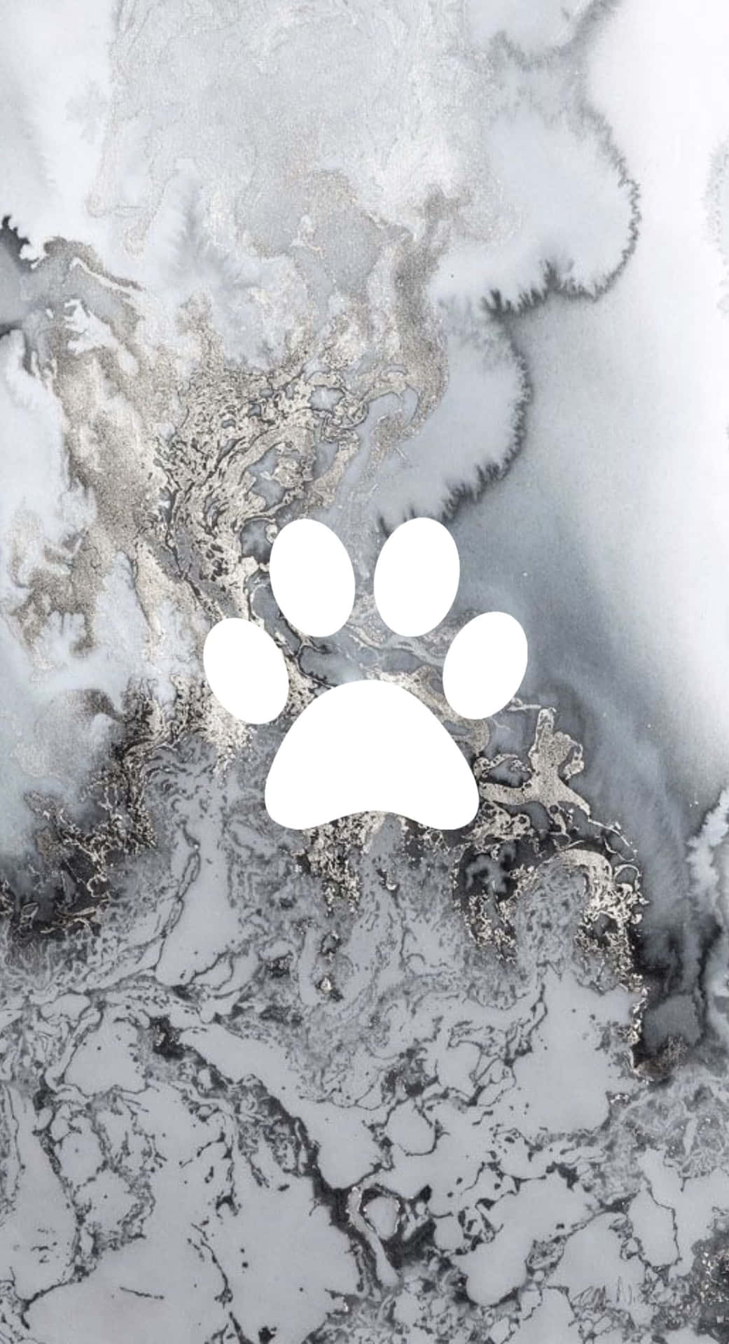 A dog paw print on marble - Silver