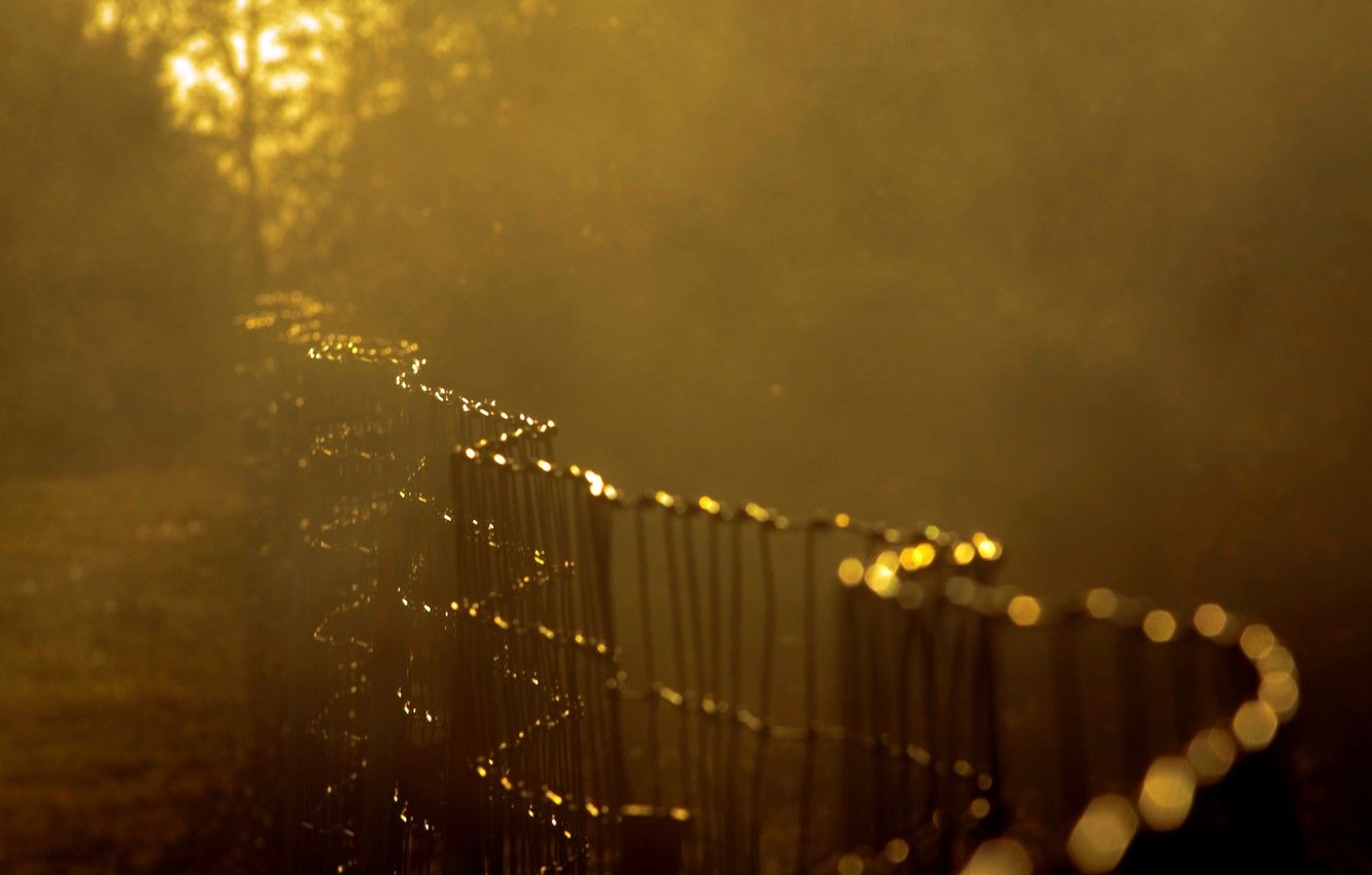 A fence with dew on it - Sun