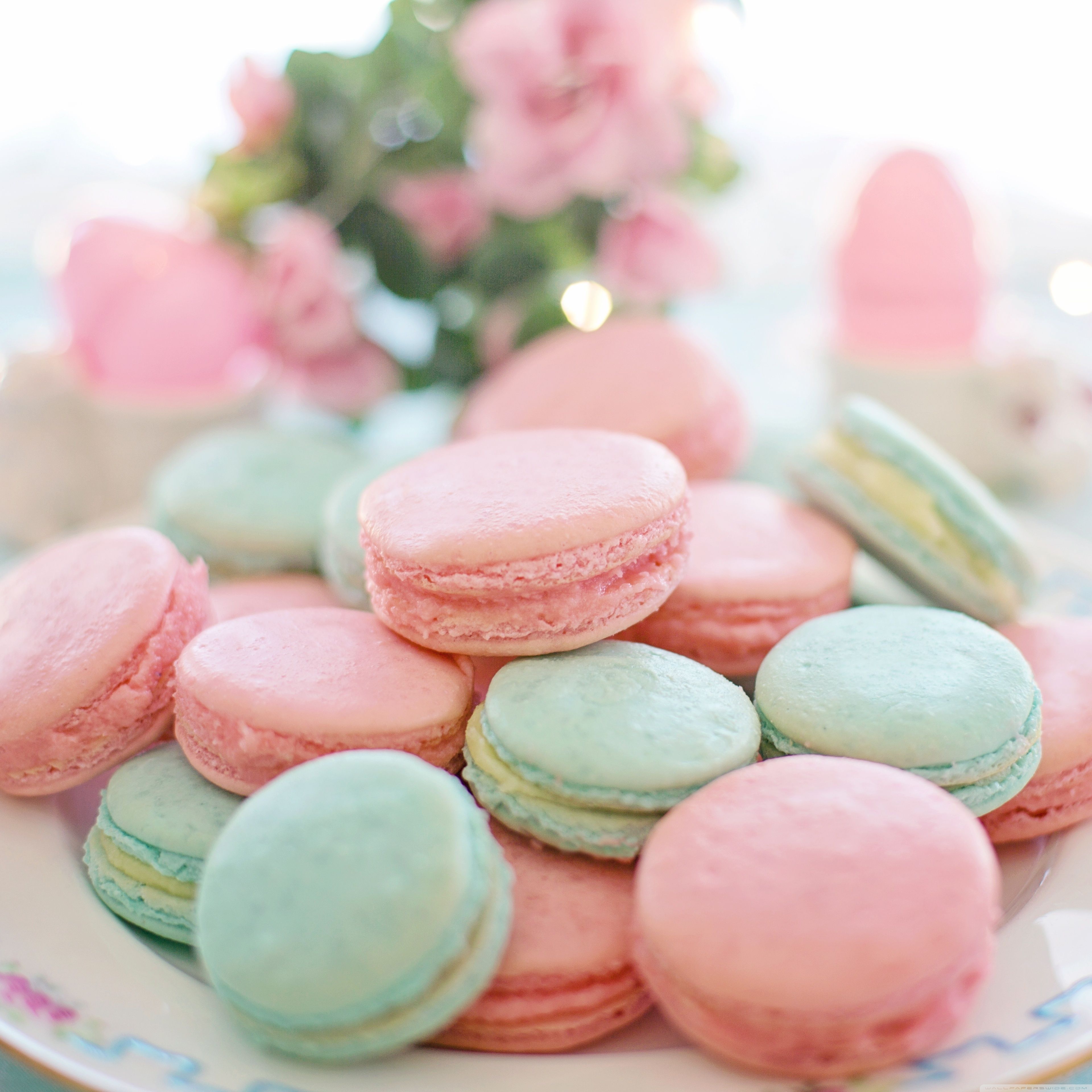 A plate of pink and blue macaroons - Food, bakery, pastel