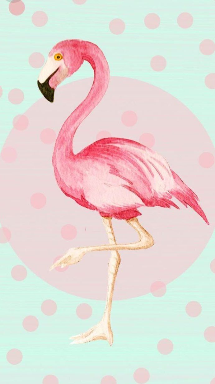 A pink flamingo is standing on green polka dots - Flamingo