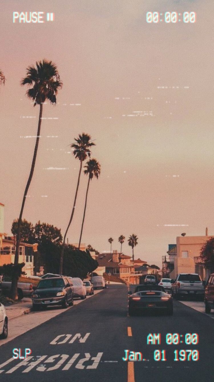 A photo of a street with palm trees and cars. - VHS