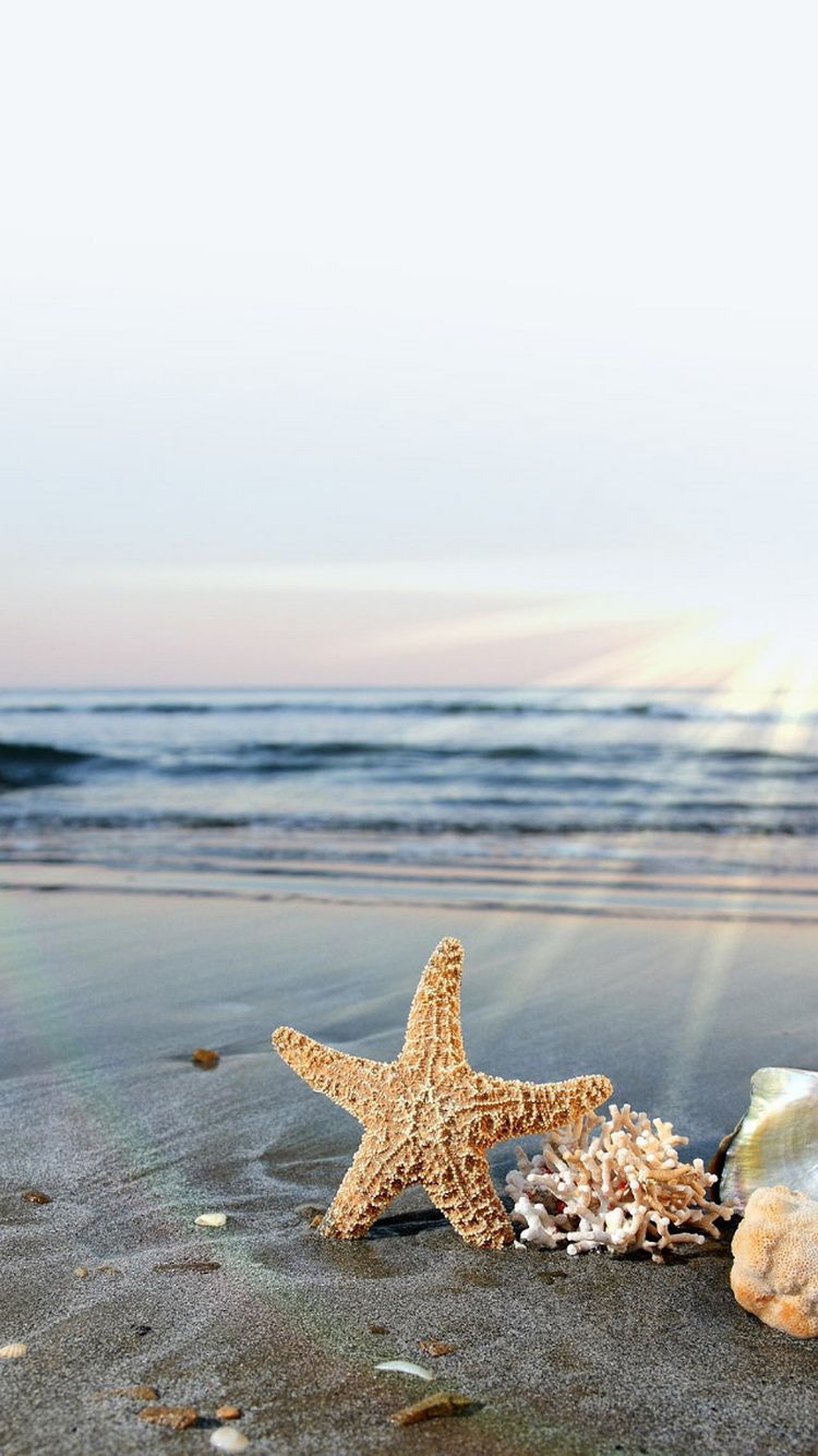 Starfish Sun Waves Beach iPhone 6 Wallpaper. Nature iphone wallpaper, Beautiful nature wallpaper, Beach picture