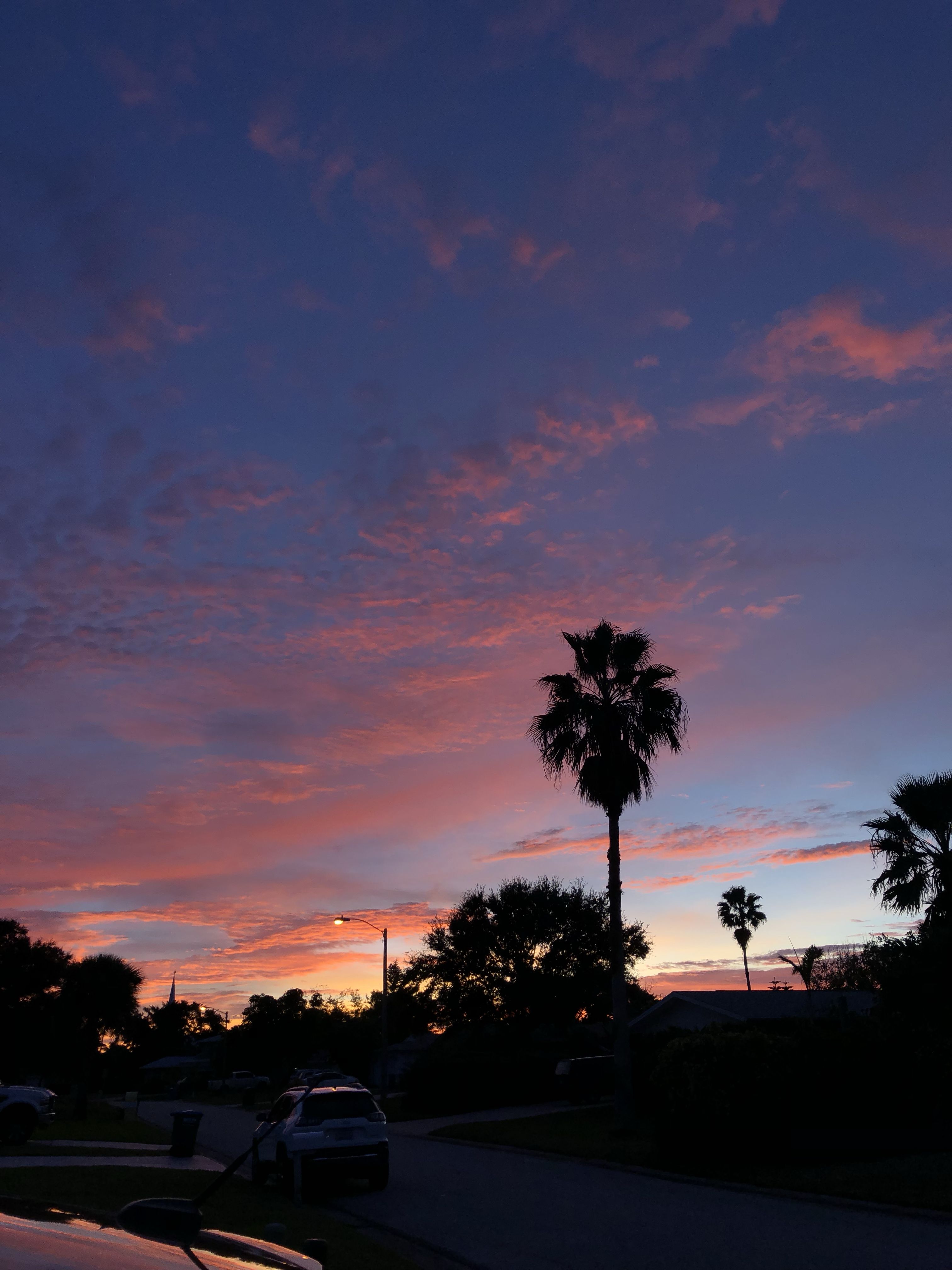 Beautiful Florida Morning Skies. Night aesthetic, Morning sky, My picture