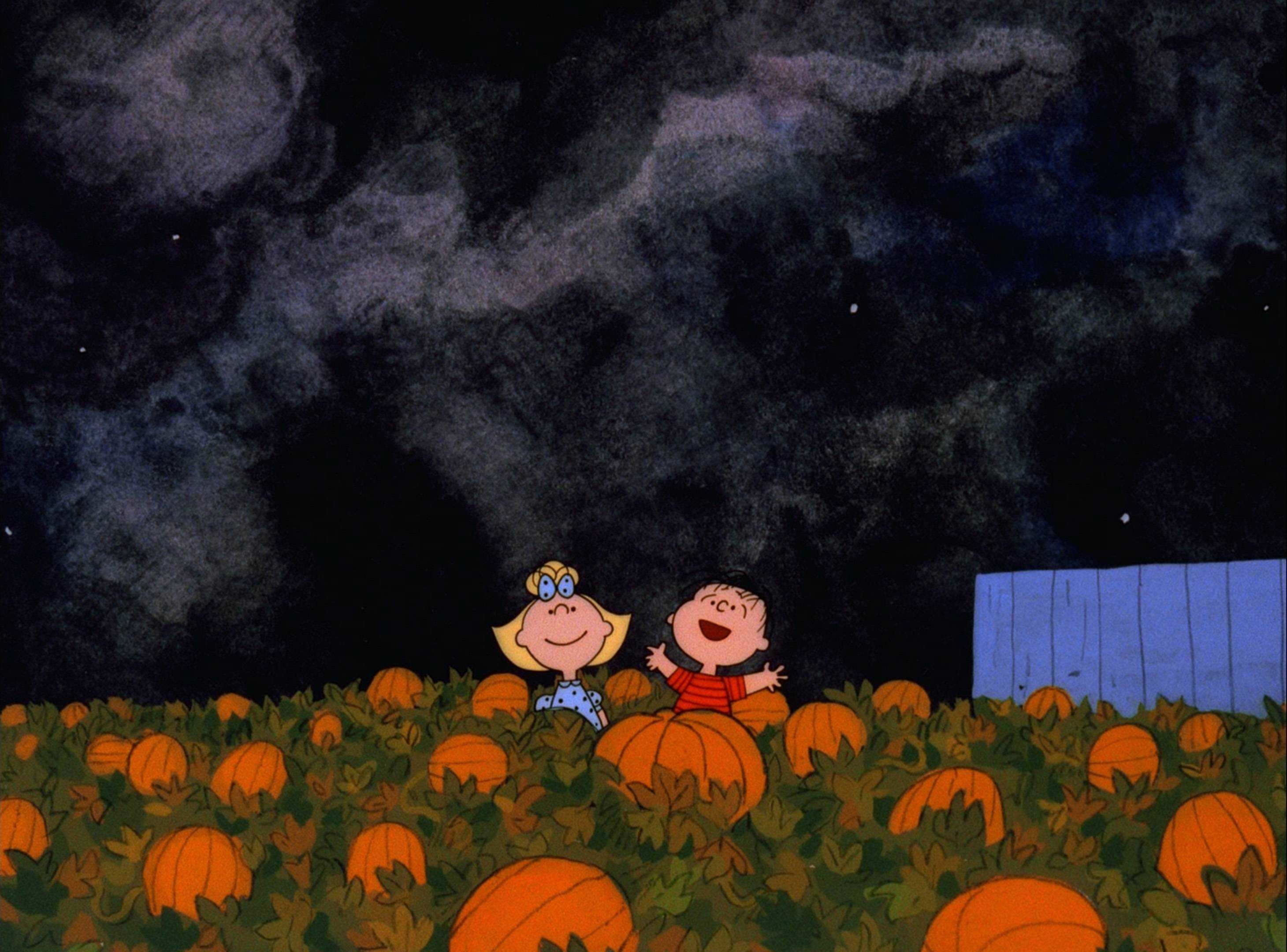 Charlie Brown and his friend Sally sit on a pumpkin in a pumpkin patch. - Cute Halloween, Halloween desktop, Halloween, Charlie Brown